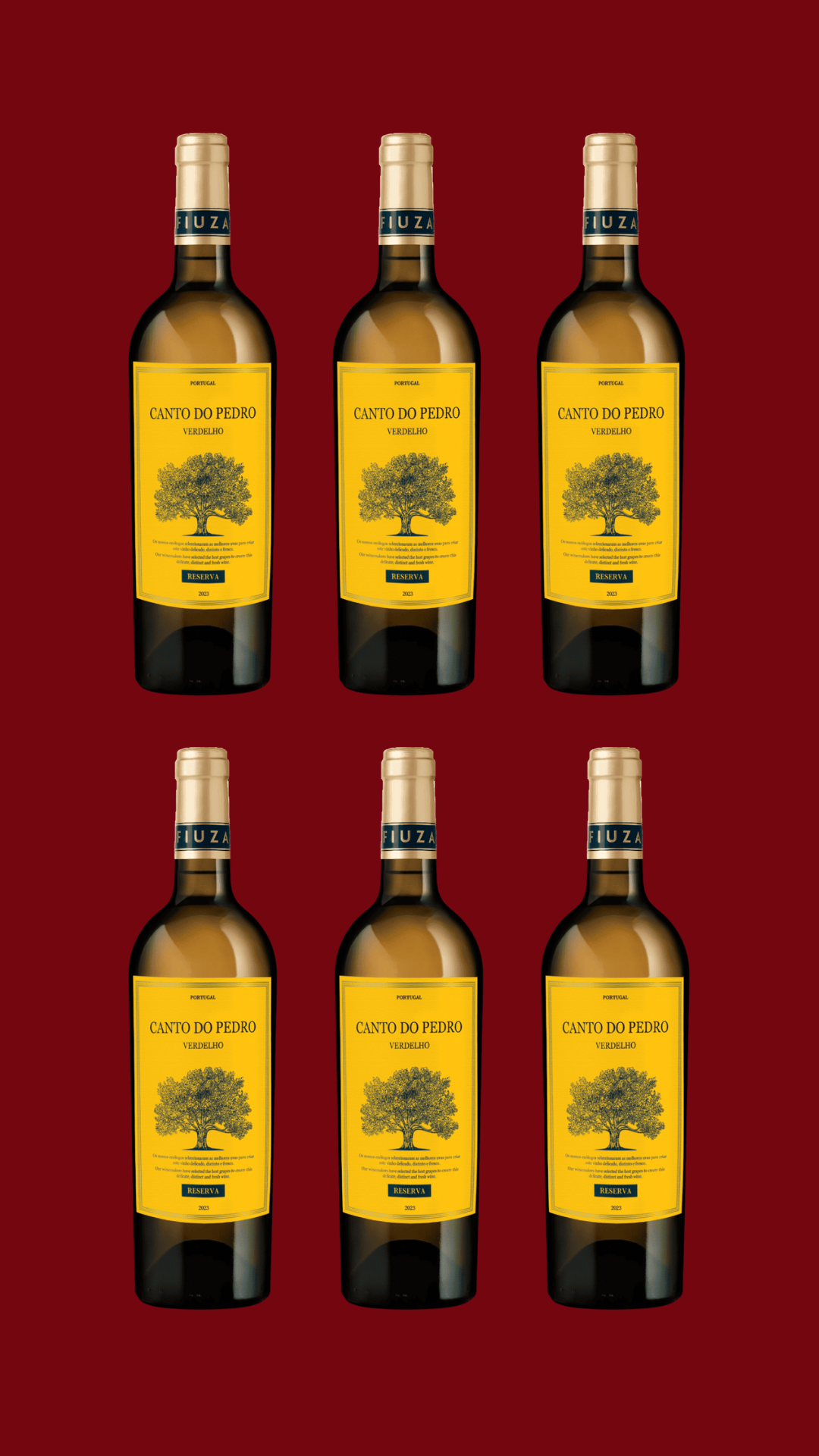 Doosje Canto Do Pedro Verdelho Reserva 2023 (6 fl)
